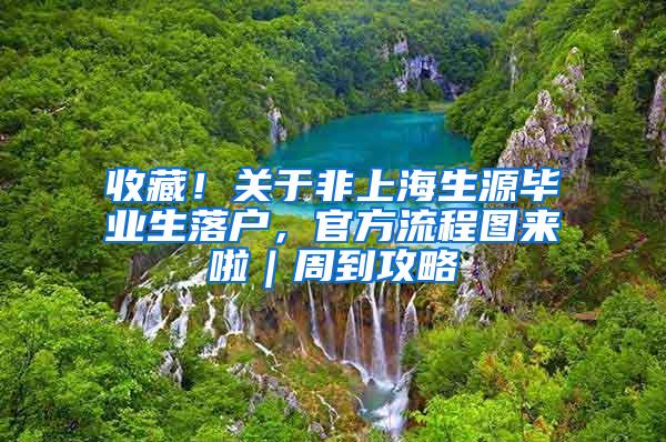 收藏！关于非上海生源毕业生落户，官方流程图来啦｜周到攻略