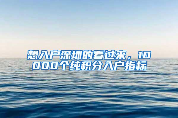 想入户深圳的看过来，10000个纯积分入户指标