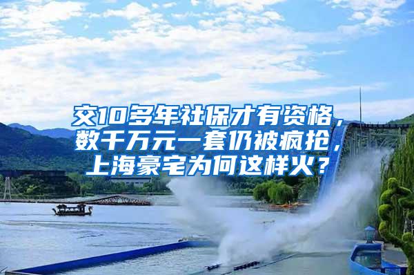 交10多年社保才有资格，数千万元一套仍被疯抢，上海豪宅为何这样火？