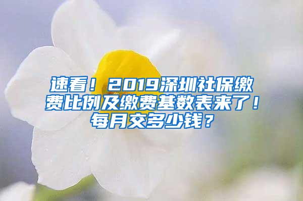 速看！2019深圳社保缴费比例及缴费基数表来了！每月交多少钱？