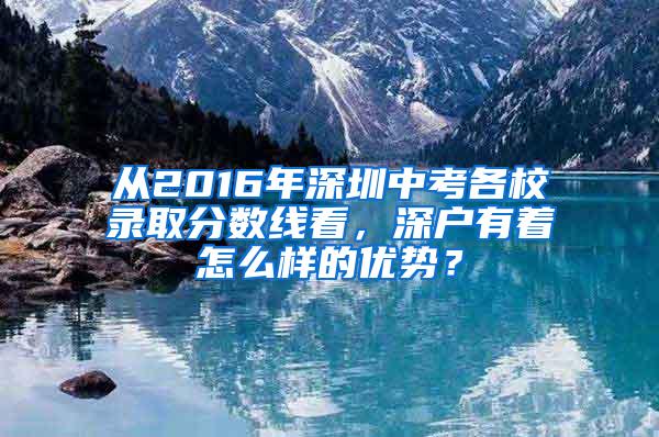 从2016年深圳中考各校录取分数线看，深户有着怎么样的优势？