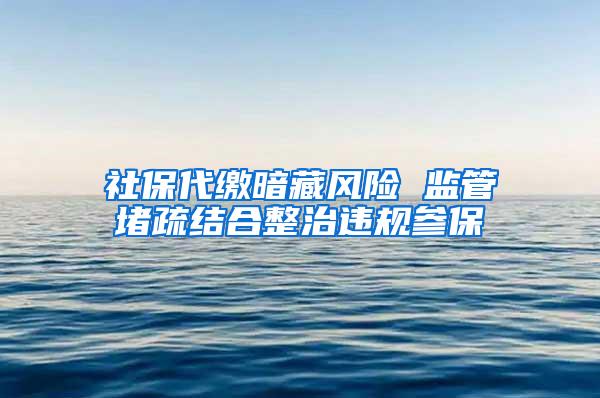 社保代缴暗藏风险 监管堵疏结合整治违规参保