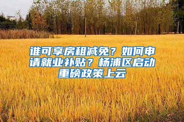 谁可享房租减免？如何申请就业补贴？杨浦区启动重磅政策上云