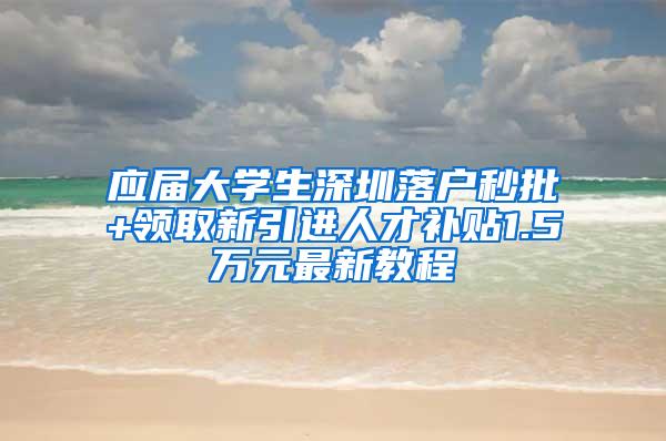 应届大学生深圳落户秒批+领取新引进人才补贴1.5万元最新教程