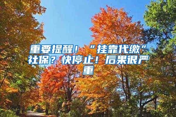 重要提醒！“挂靠代缴”社保？快停止！后果很严重