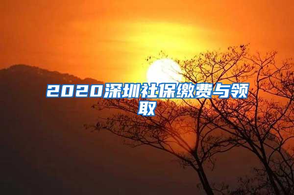 2020深圳社保缴费与领取