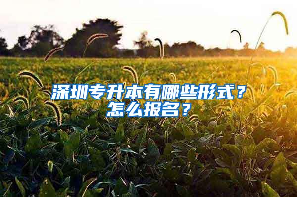 深圳专升本有哪些形式？怎么报名？