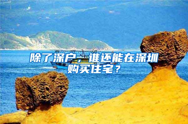 除了深户，谁还能在深圳购买住宅？