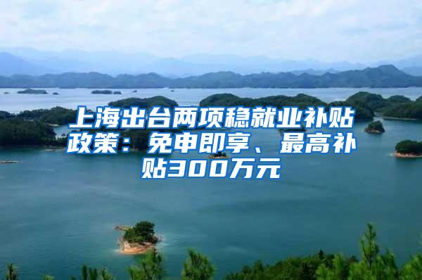 上海出台两项稳就业补贴政策：免申即享、最高补贴300万元