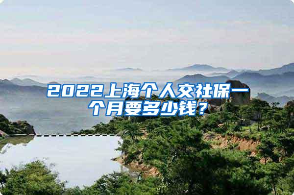 2022上海个人交社保一个月要多少钱？