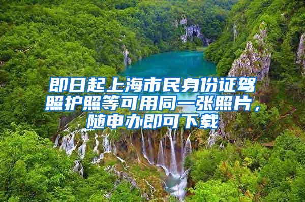 即日起上海市民身份证驾照护照等可用同一张照片，随申办即可下载