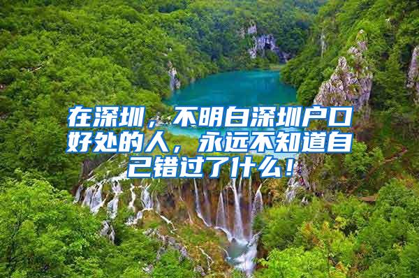 在深圳，不明白深圳户口好处的人，永远不知道自己错过了什么！