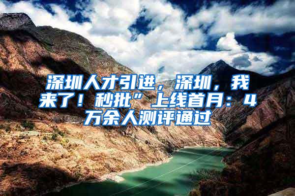 深圳人才引进，深圳，我来了！秒批”上线首月：4万余人测评通过