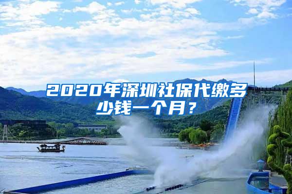 2020年深圳社保代缴多少钱一个月？