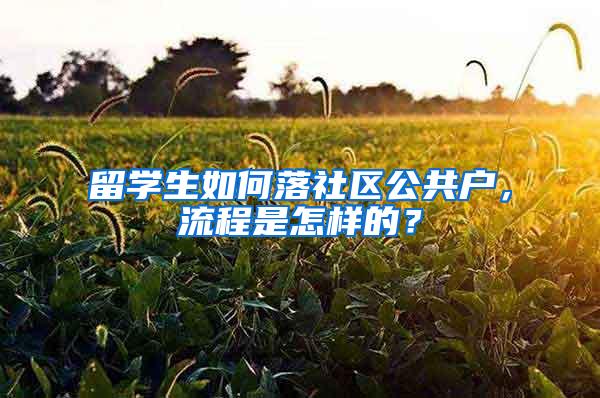 留学生如何落社区公共户，流程是怎样的？