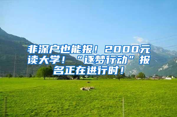 非深户也能报！2000元读大学！“逐梦行动”报名正在进行时！