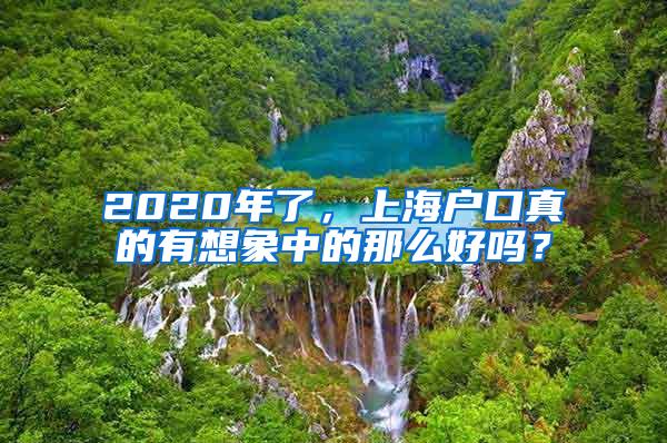 2020年了，上海户口真的有想象中的那么好吗？