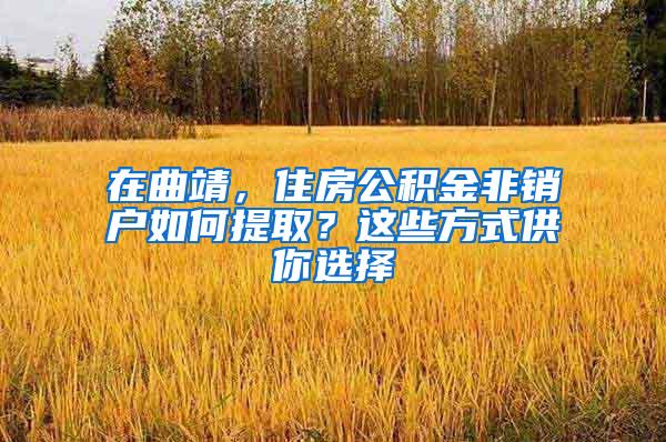 在曲靖，住房公积金非销户如何提取？这些方式供你选择