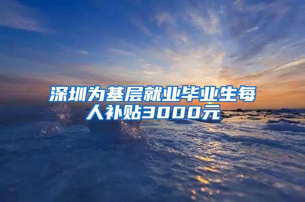 深圳为基层就业毕业生每人补贴3000元