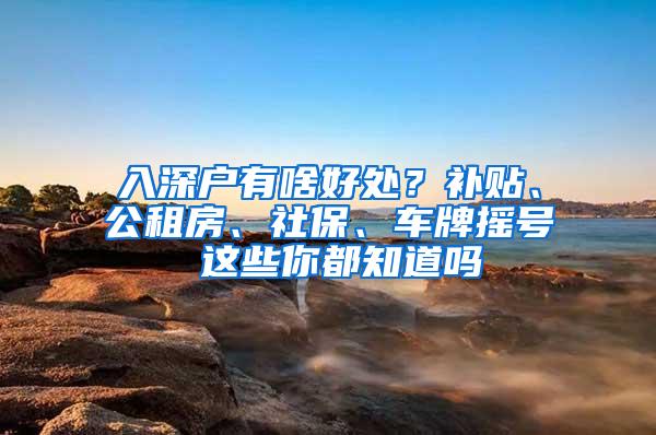 入深户有啥好处？补贴、公租房、社保、车牌摇号 这些你都知道吗