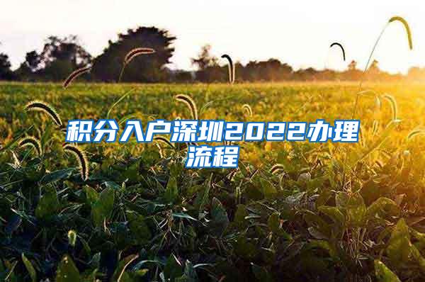 积分入户深圳2022办理流程