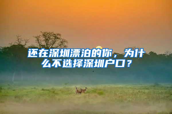 还在深圳漂泊的你，为什么不选择深圳户口？