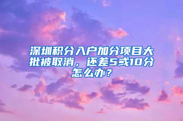 深圳积分入户加分项目大批被取消，还差5或10分怎么办？