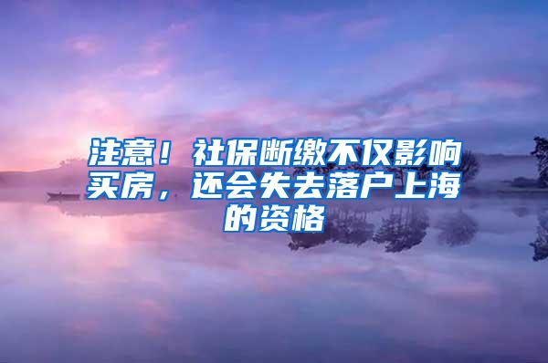 注意！社保断缴不仅影响买房，还会失去落户上海的资格