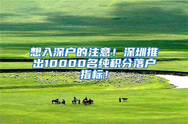 想入深户的注意！深圳推出10000名纯积分落户指标！