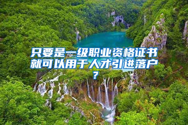 只要是一级职业资格证书就可以用于人才引进落户？