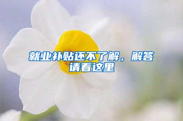 就业补贴还不了解，解答请看这里→