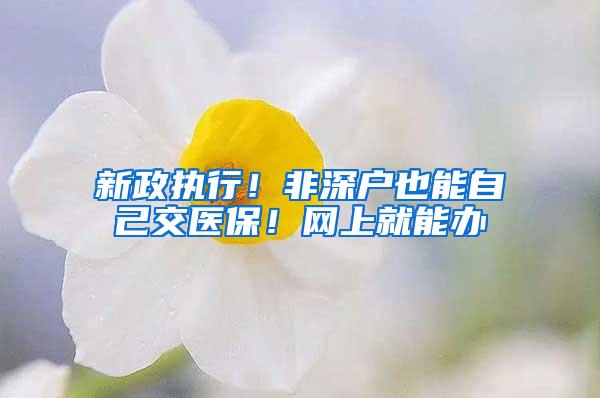 新政执行！非深户也能自己交医保！网上就能办