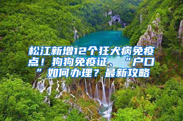 松江新增12个狂犬病免疫点！狗狗免疫证、“户口”如何办理？最新攻略→