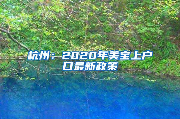 杭州：2020年美宝上户口最新政策