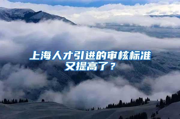 上海人才引进的审核标准又提高了？