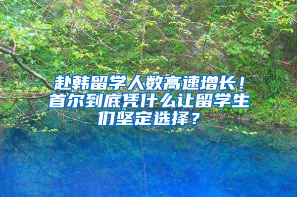 赴韩留学人数高速增长！首尔到底凭什么让留学生们坚定选择？