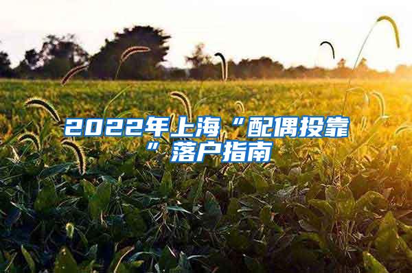 2022年上海“配偶投靠”落户指南