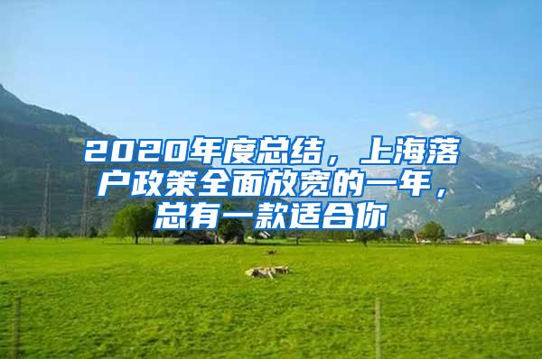 2020年度总结，上海落户政策全面放宽的一年，总有一款适合你