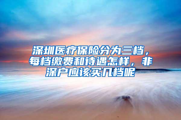 深圳医疗保险分为三档，每档缴费和待遇怎样，非深户应该买几档呢