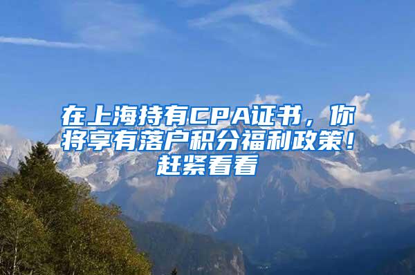 在上海持有CPA证书，你将享有落户积分福利政策！赶紧看看