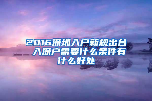 2016深圳入户新规出台 入深户需要什么条件有什么好处