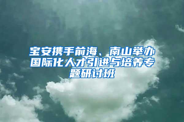 宝安携手前海、南山举办国际化人才引进与培养专题研讨班