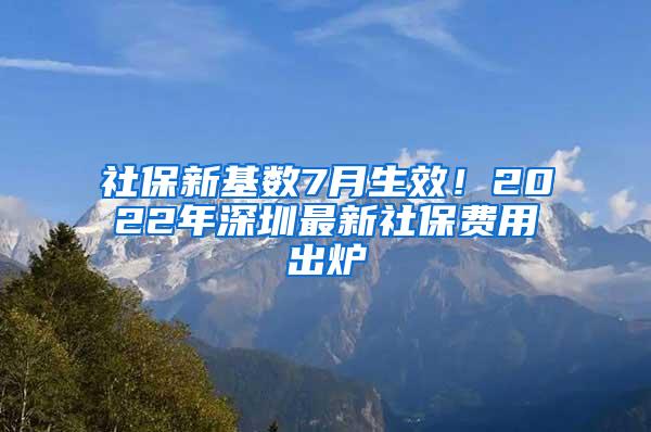 社保新基数7月生效！2022年深圳最新社保费用出炉