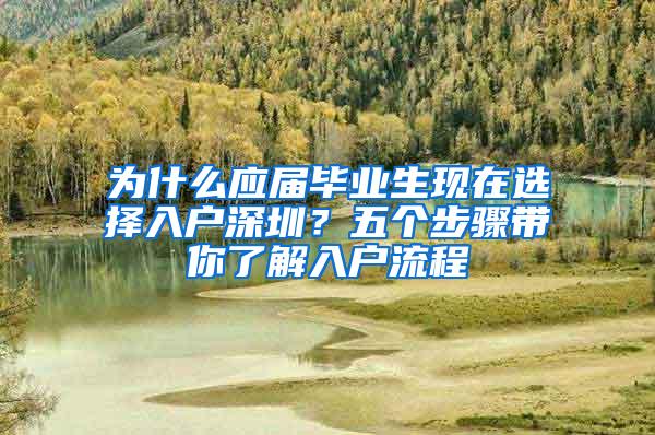 为什么应届毕业生现在选择入户深圳？五个步骤带你了解入户流程