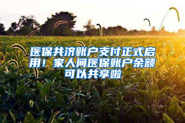 医保共济账户支付正式启用！家人间医保账户余额可以共享啦