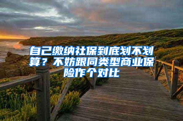 自己缴纳社保到底划不划算？不妨跟同类型商业保险作个对比