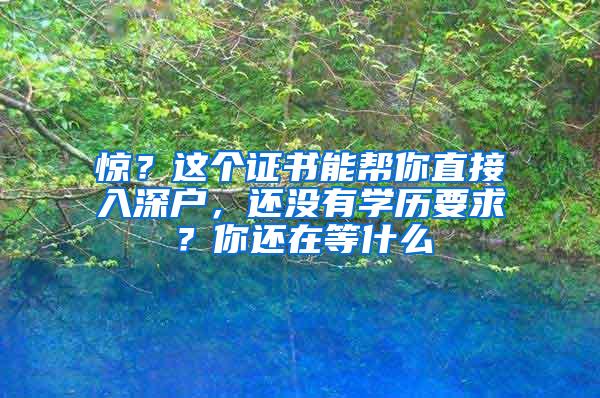 惊？这个证书能帮你直接入深户，还没有学历要求？你还在等什么