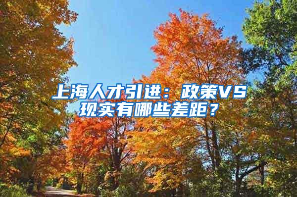 上海人才引进：政策VS现实有哪些差距？