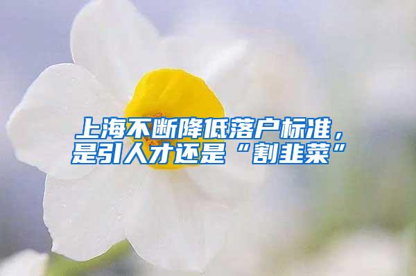 上海不断降低落户标准，是引人才还是“割韭菜”