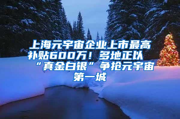 上海元宇宙企业上市最高补贴600万！多地正以“真金白银”争抢元宇宙第一城